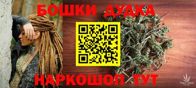 a pvp Славгород