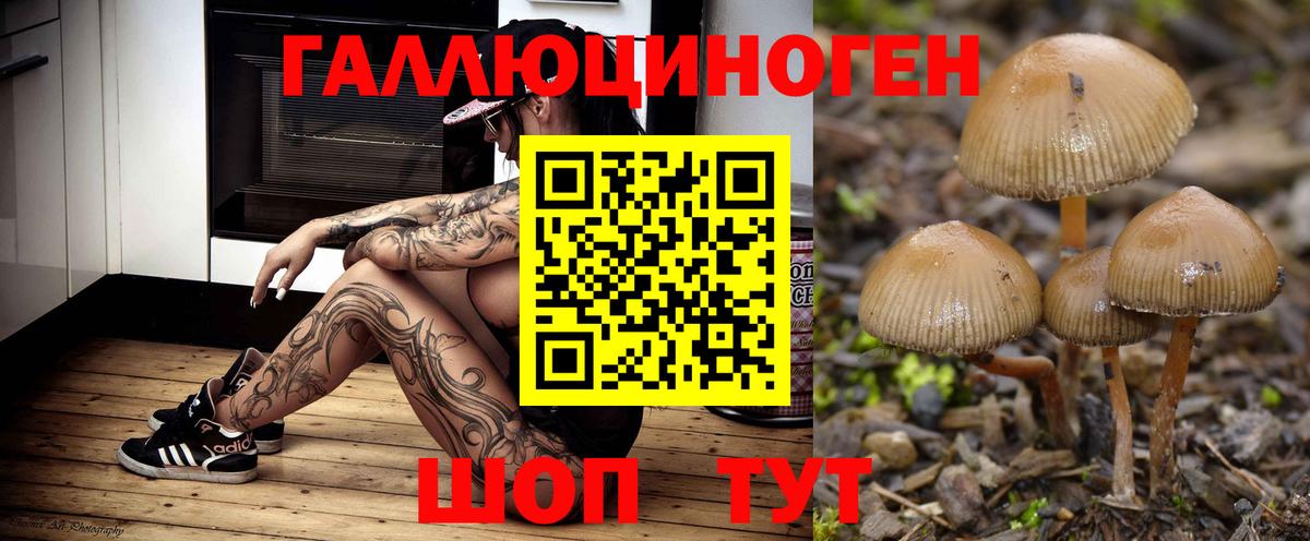 дарнет шоп  Галлюциногенные грибы ЛСД  Вход с VPN  Новочеркасск 